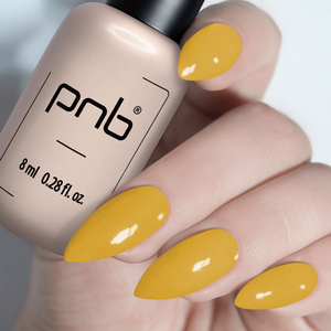 PNB VERNIS À ONGLES GEL 250 TOFFEE