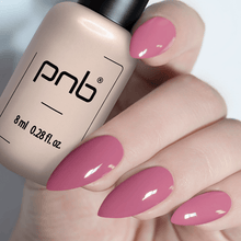 Load image into Gallery viewer, PNB GEL NAIL POLISH 274 DA VINCI