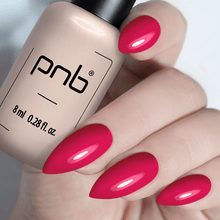 Load image into Gallery viewer, PNB GEL NAIL POLISH 347 MANTRA